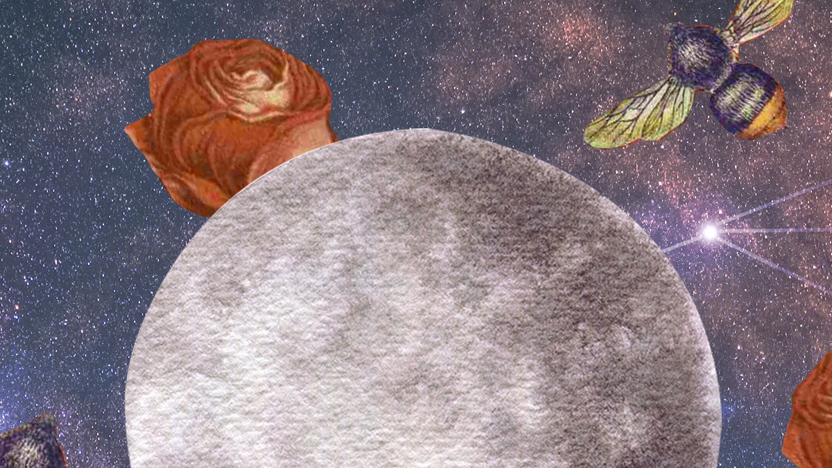 Horoskopi 19 Janar, ja çfarë kanë parashikuar yjet për ju