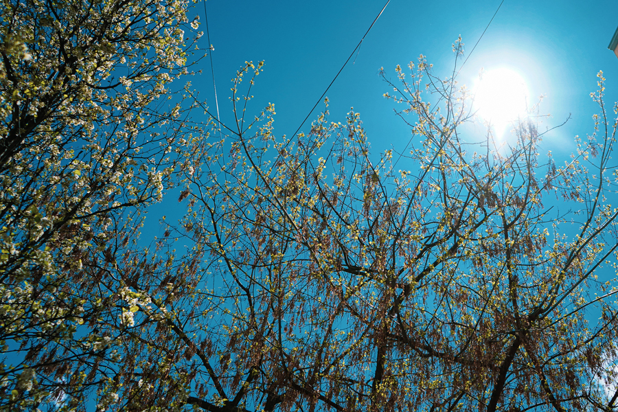 Ditë pranverore: Temperaturat deri në 24 gradë Celsius