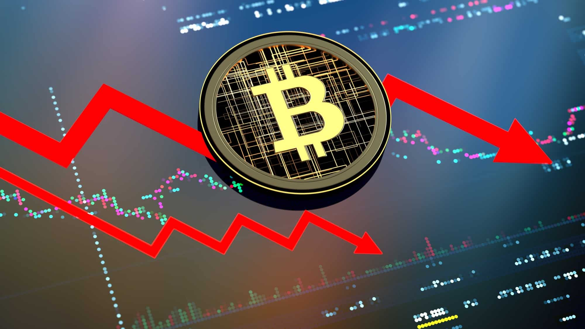 Bitcoin po i “djeg” ata që kanë investuar, çmimi i kriptomonedhës bie për 50%