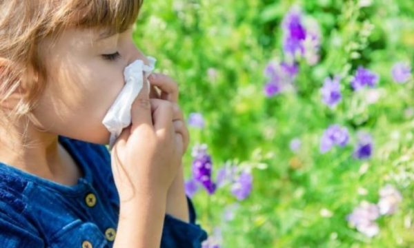 Tri metoda të thjeshta për t’i lehtësuar alergjitë e pranverës