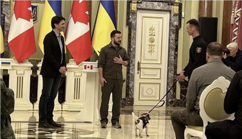 Zelensky shpërblen deminuesit ukrainas dhe një qen, në prani të kryeministrit kanadez
