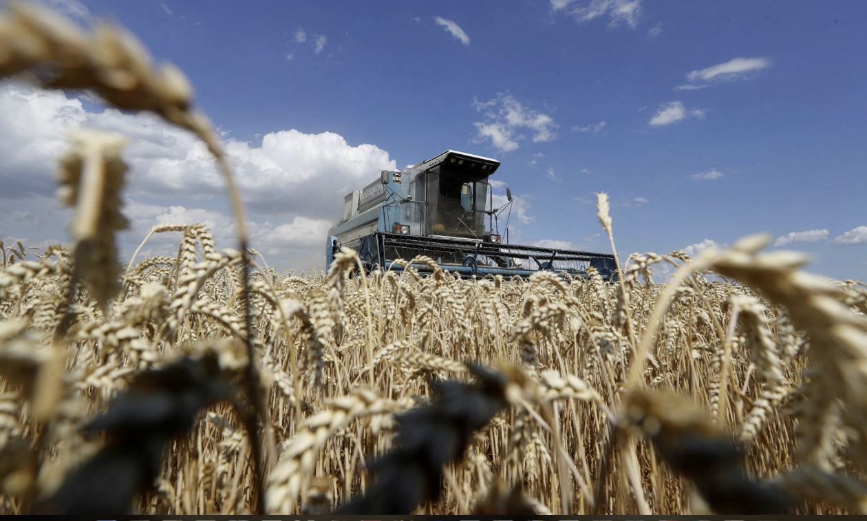 Uria në botë: Rusia thotë se i hap portet nëse i largohen sanksionet
