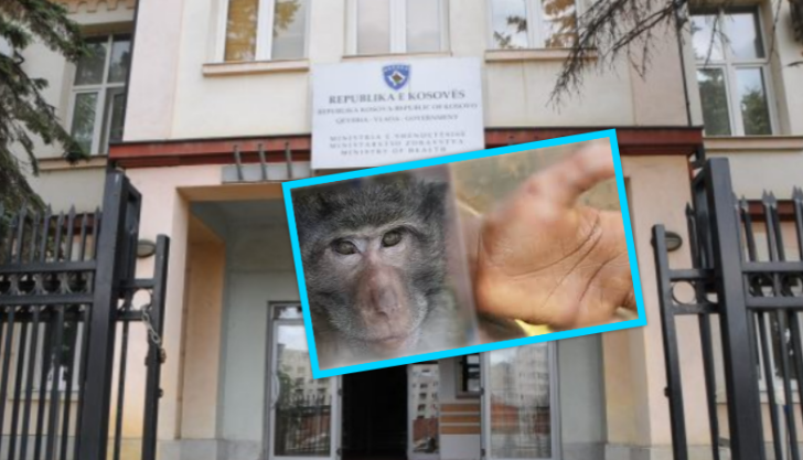 Një nga këshillat e MSH për t’u mbrojtur nga lia e majmunit: Kufizoni numrin e partnerëve seksualë