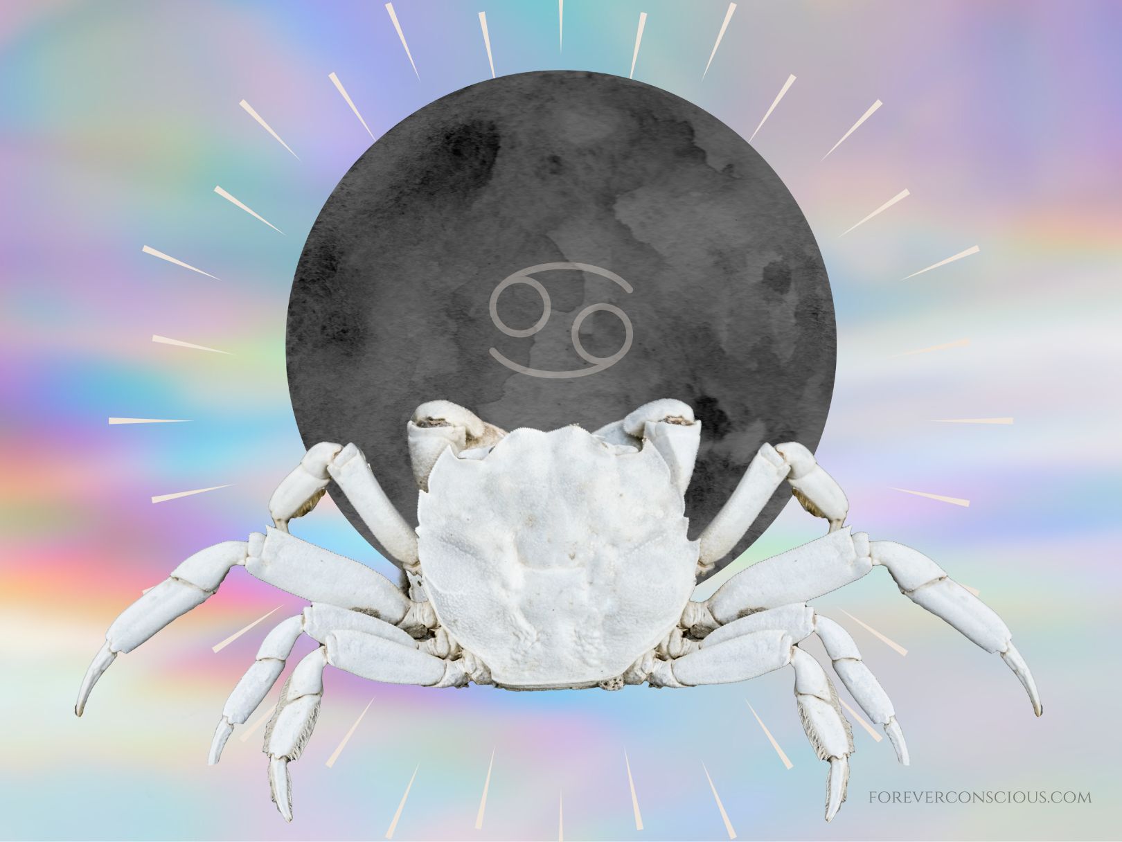 Hëna e Re në Gaforre: Çfarë sjell për shenjën tënde?