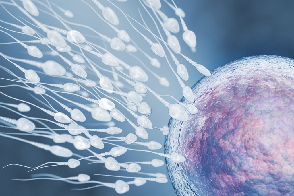 Eksperti shpjegon se çfarë ka në spermë dhe si tretet në trup!