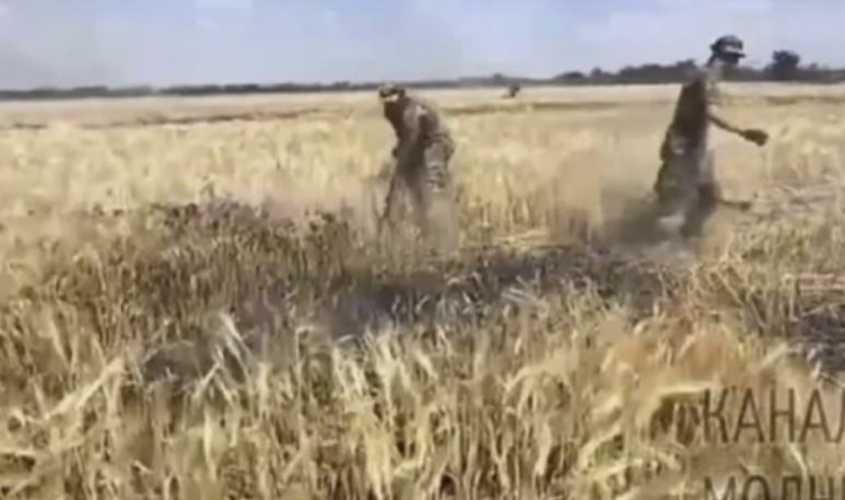 Ankthi për krizën ushqimore, rusët djegin arat me grurë në Ukrainë