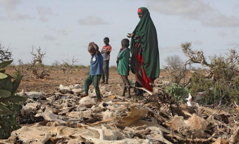 Somalia është në prag të vdekjes nga uria