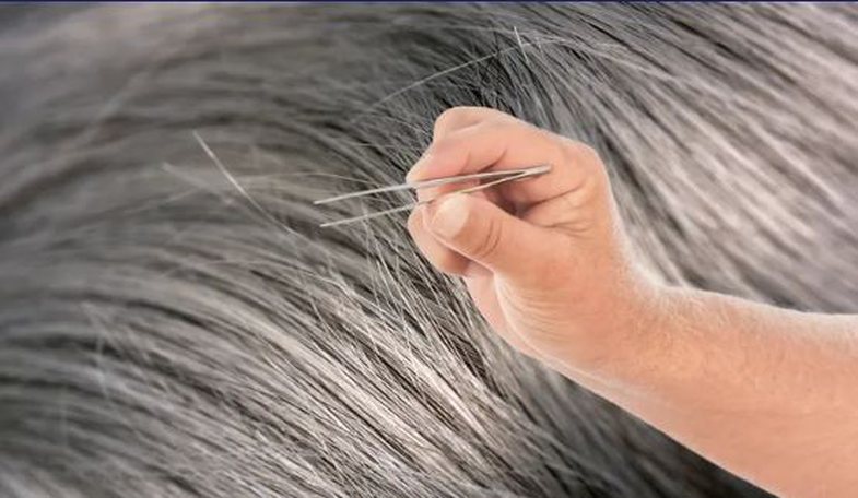 Pse nuk duhet t’i shkulni kurrë thinjat që shihni nëpër flokë?
