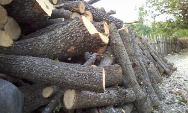 Thellohet kriza në Kosovë: Një metër dru, shkon deri në 100 euro