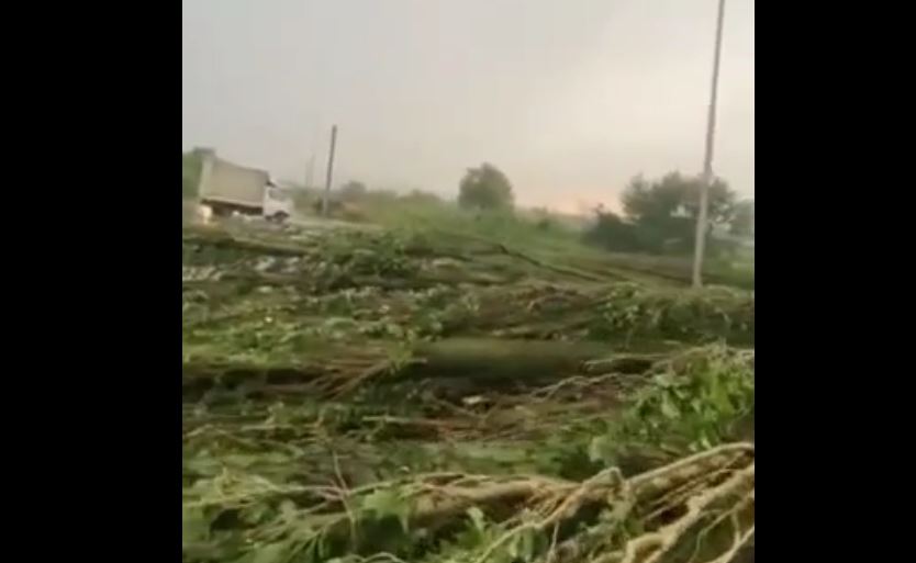 Pemë të rrëzuara e probleme me trafik nga stuhia në Ferizaj