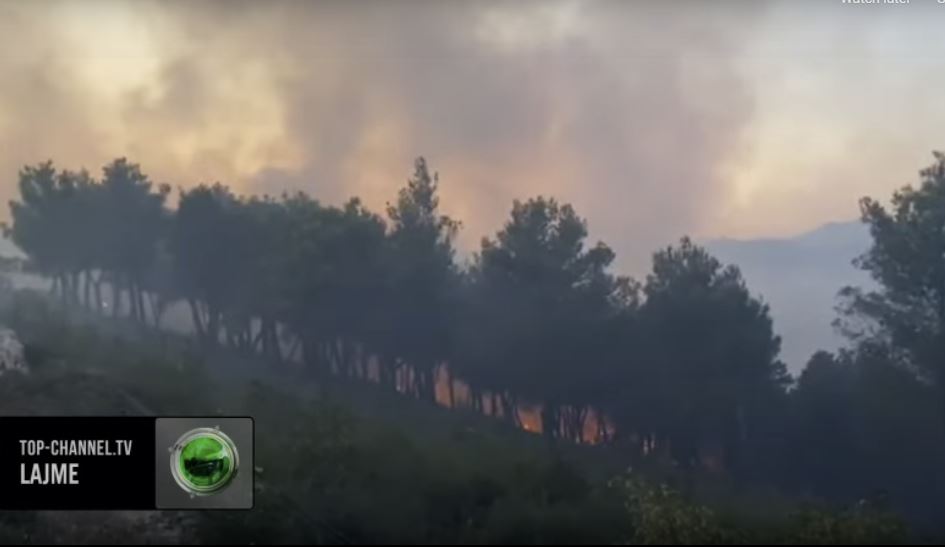 Zjarret në Shqipëri/ Pesë qarqe të përfshira nga flakët, situata më e vështirë në Lezhë