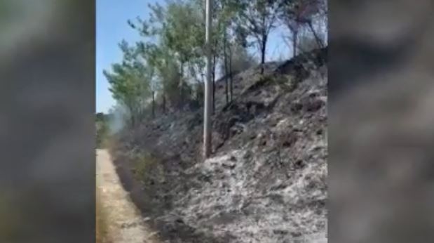 Tre vatra zjarri shkaktohen nga fermerët e pakujdesshëm në Elbasan