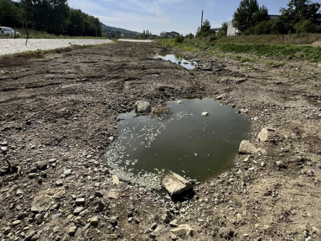 Shter ‘Lumi i Shtrembër’ në Kamenicë, ngordhin peshqit