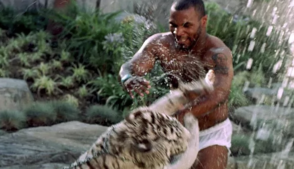 Del video e Mike Tyson kur ai qëndront në vilën e tij me 3 tigra