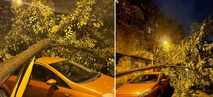 Moti i keq rrëzon pemën në Tiranë, u bie sipër veturave të parkuara