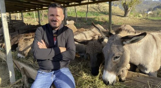 La gazetarinë dhe u bë fermer gomaricash: S’u pendova që lashë Tiranën