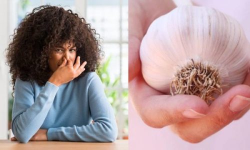 U gjet zgjidhja, si të largoni aromën e hudhrës nga goja