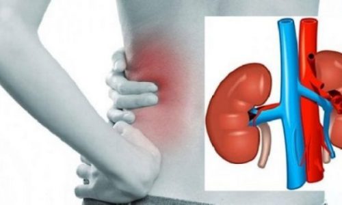 Pesë ushqime që janë shumë të dëmshme për veshkat