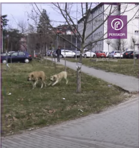 Pse kjo është rruga nëpër të cilën duhet të mendoheni dy herë a mund t’i bini këndej?