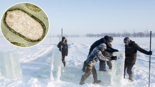 Njerëzimi po përballet me një kërcënim të ri pandemik: ‘Fatkeqësi’ nga efektet e viruseve mijëvjeçare