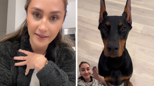 Pronarja nuk pranon ta shesë qenin e saj as për 200 mijë euro(Video)