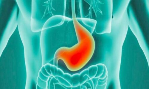 Cilat ushqime e shfryjnë barkun