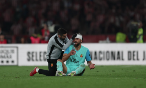 Mallorca publikon foto të Muriqit: I lamë të gjitha në fushë