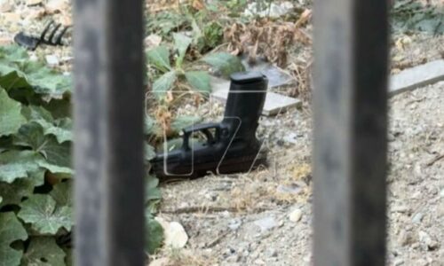 Gashi: Mbi 200 mijë qytetarë bartin armë potencialisht ilegale dhe të rrezikshme