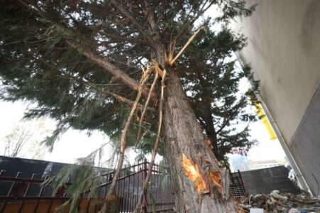 Zogaj: Prerja e drunjve tek Teatri Kombëtar, akt i pafalshëm