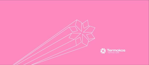 Përse të paguajmë për konsum të përbashkët?