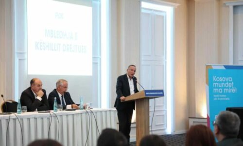 Mblidhet Këshilli Drejtues i PDK-së, Hamza: Kosova mundet ma mirë, të gjithë ne mundemi ma mirë