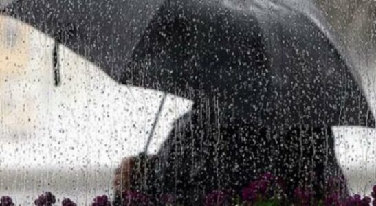 Mot i vranët dhe me reshje shiu