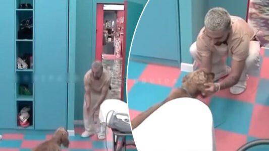 Nuk e prishi lojën për Xhenetën, por para qenit të tij nuk u përmbajt dot Gjesti/VIDEO