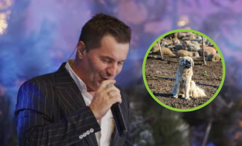 Muqiqi: Qentë e mi i kam testu janë me të mirë se do njerëz që kom nejt me ta