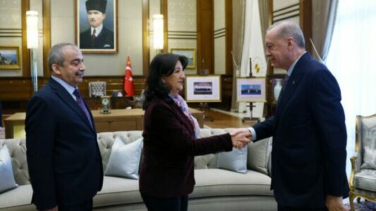 Pas 13 viteve, Erdogan takohet me deputetët kurdë