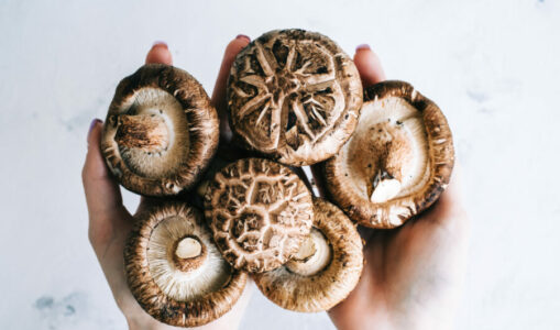 5 suplemente kërpudhash më të vlerësuara për të mbështetur mendjen dhe trupin tuaj