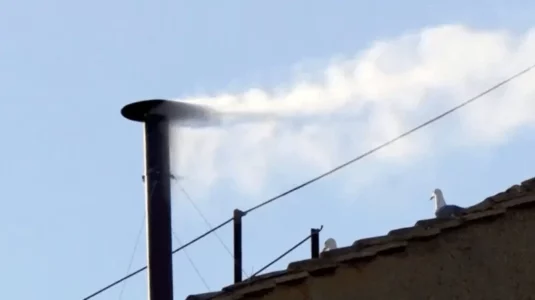 Zgjidhet Papa, tym i bardhë në Vatikan