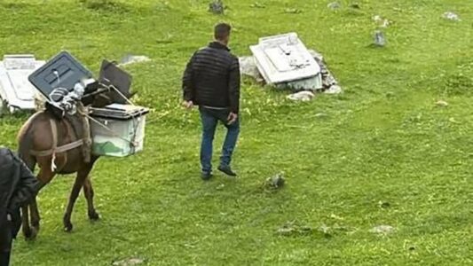 Kukësi me “metodë” speciale, kutitë e votimit në fshatin Bele dorëzohen me gomar