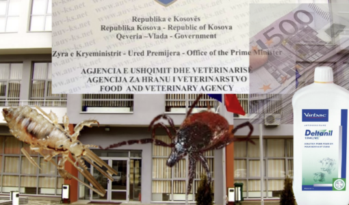 Thellohet skandali, ilaçi i morrave u pagua shtatëfish më shumë se çmimi real i produktit (DOKUMENT)