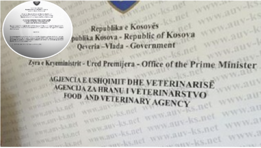 Miku i Faton Pecit dhe vëllai i sekretarit të MAPL’së, një hap larg për ta fituar një pozitë pune në AUV – dyshime për konkurs të kurdisur