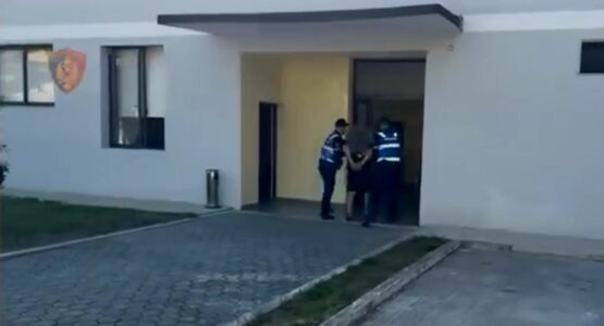 Arrestohet 36-vjeçari pasi vodhi televizor dhe kompjuter në një objekt të PD-së