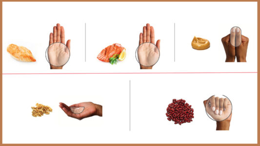 Sasia e duhur e ushqimit, është aq sa shuplaka e dorës suaj