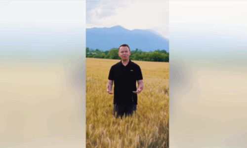 Peci nga një arë flet për një “rekord të ri në bujqësi’’, thotë se erdhi edhe për shkak të ‘‘luftimit të krimit dhe korrupsionit’’