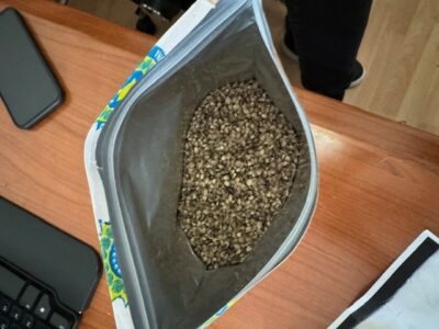 Nga Gjermania në Kosovë: Pako me fara të dyshuara kanabisi sekuestrohet në doganë