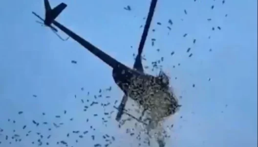 Testamenti i pazakontë i një biznesmeni: Pas vdekjes time, hidhni dollarë nga qielli