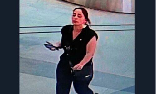 Policia e Prishtinës kërkon ndihmën e qytetarëve për identifikimin e një të dyshuare për vjedhje