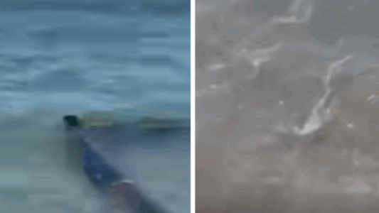 Pamje nga plazhi i Shëngjinit, kanalizimet derdhen ku lahen pushuesit