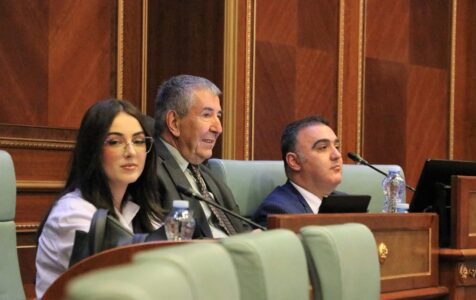 Sala Jashari i reagon ashpër Deharit: Interpretimi i aktgjykimit të Gjykatës Kushtetuese nga ana e Lëvizjes Vetëvendosje është bërë “sipas dëshirës”