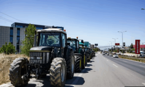 “Grurin tonë s’e duan”: Fermerët kosovarë thonë se Serbia mbush tregun me grurë të vjetër