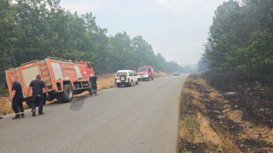 Vatrat e zjarrit në disa zona, Komuna e Drenasit ka një apel për qytetarët